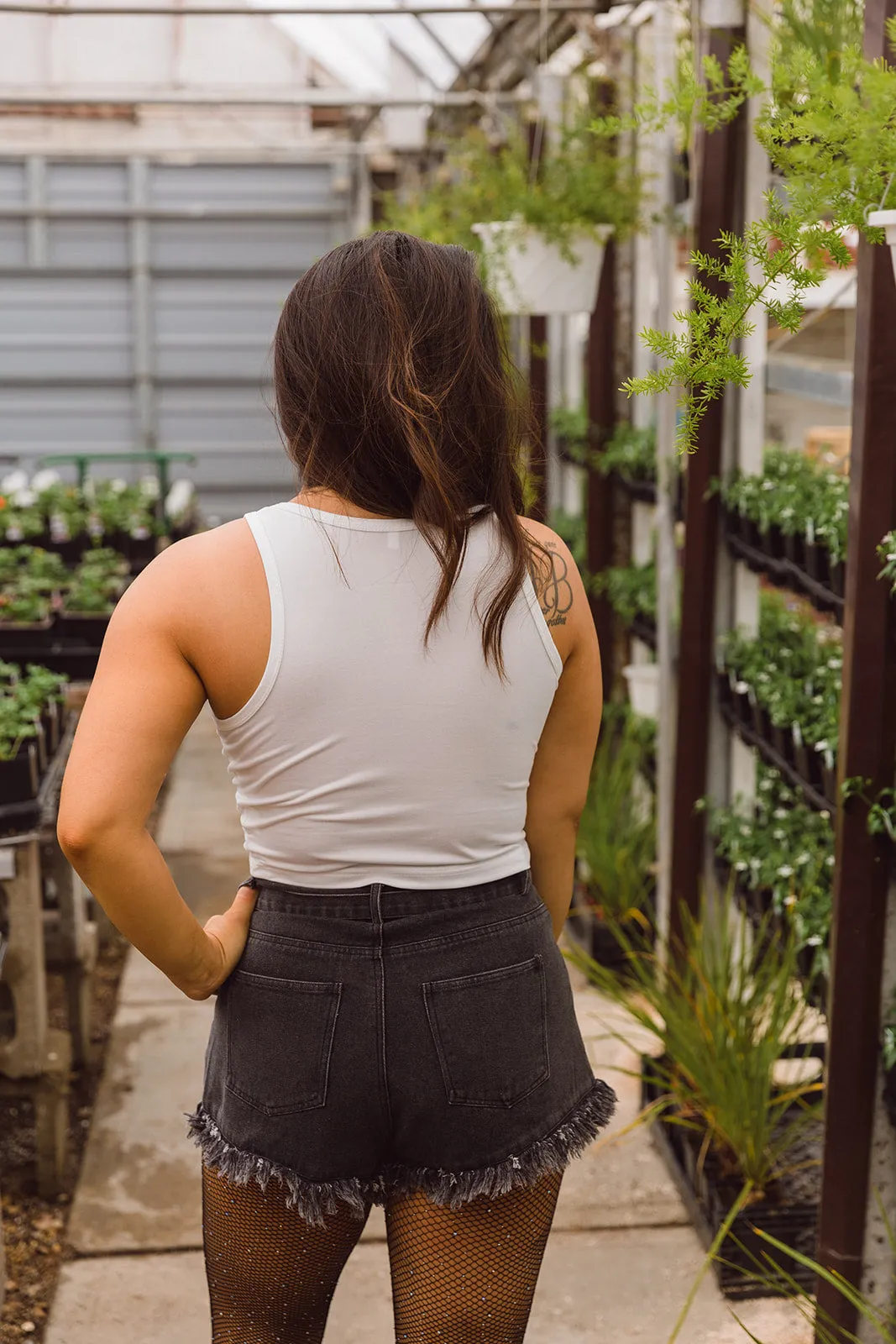 Alanis Graphic Crop Top