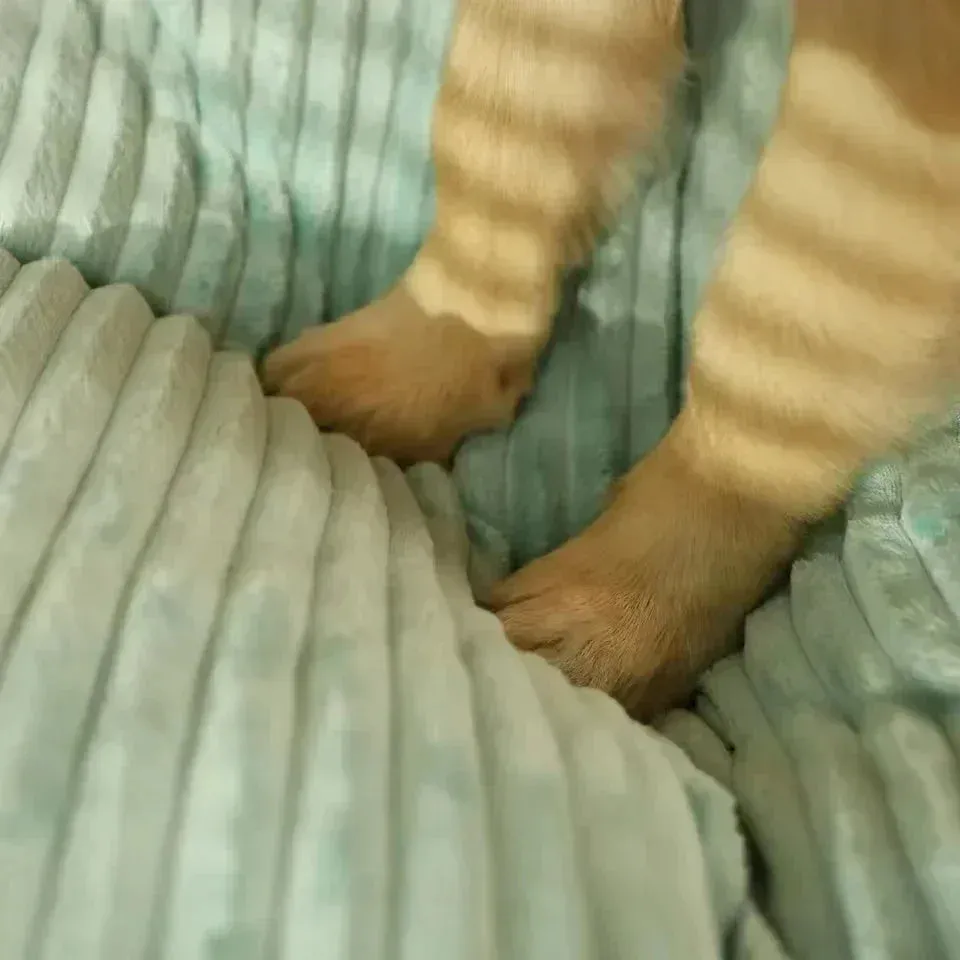 Big Dog Mat Corduroy Pad for Pets