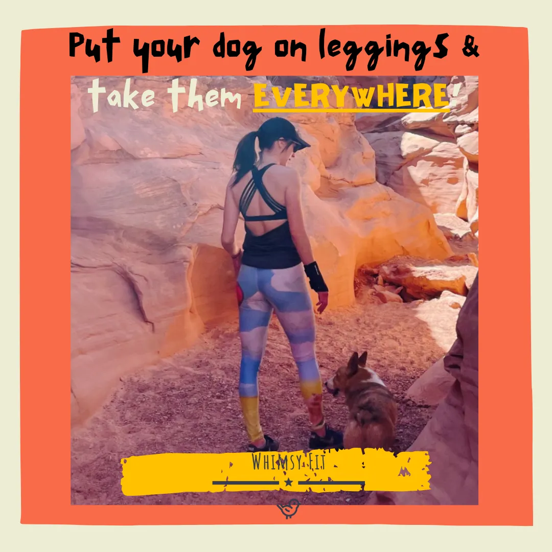 Capri Leggings with Corgi "Red Balloon"