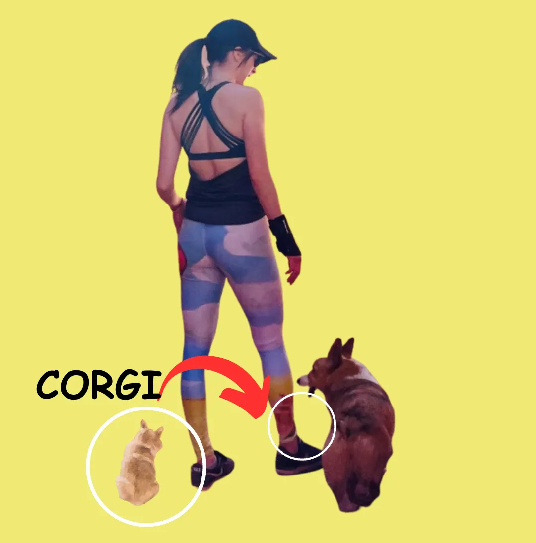 Capri Leggings with Corgi "Red Balloon"