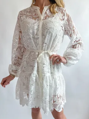 Celie Lace Mini Dress
