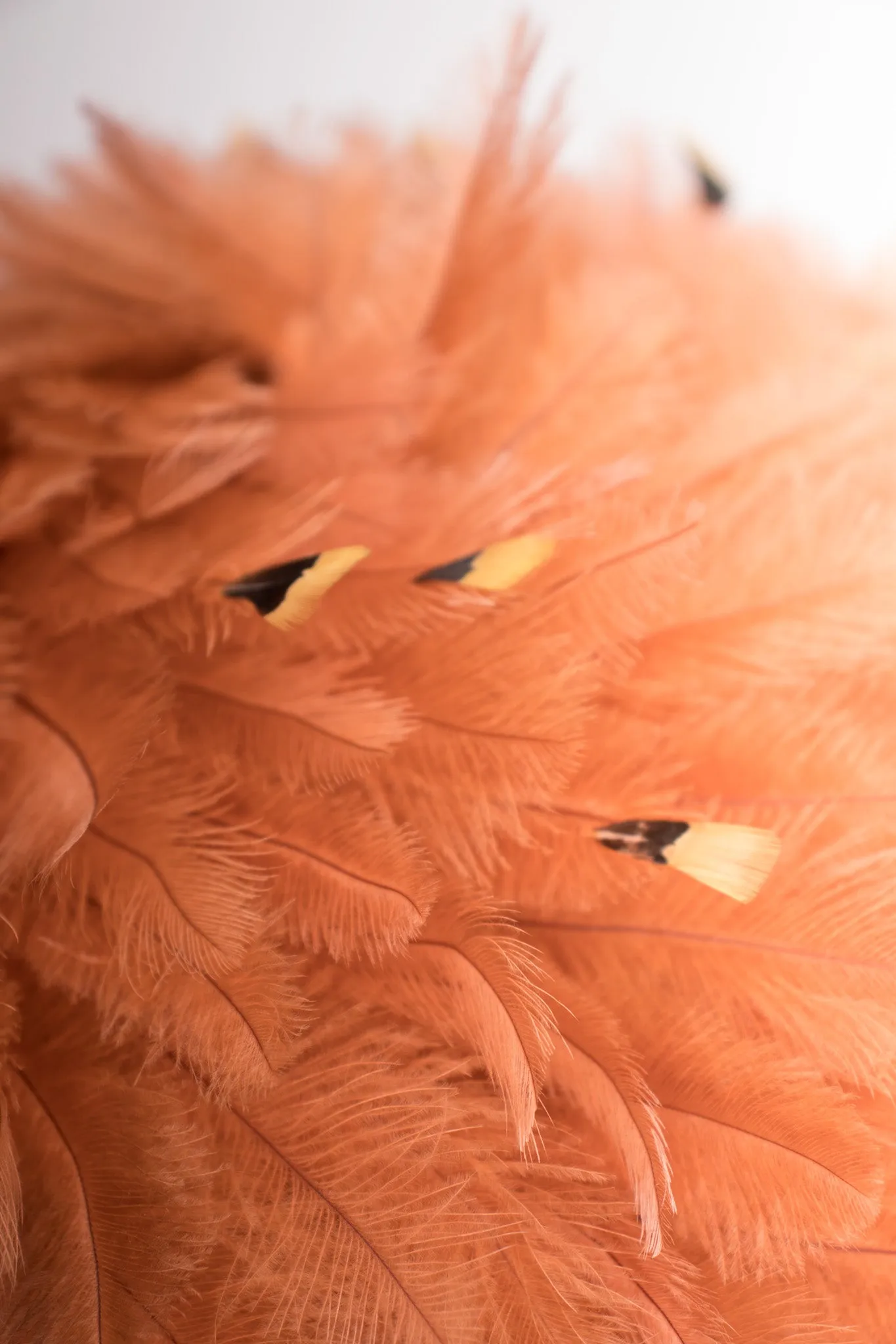 Feather Mushroom Hat