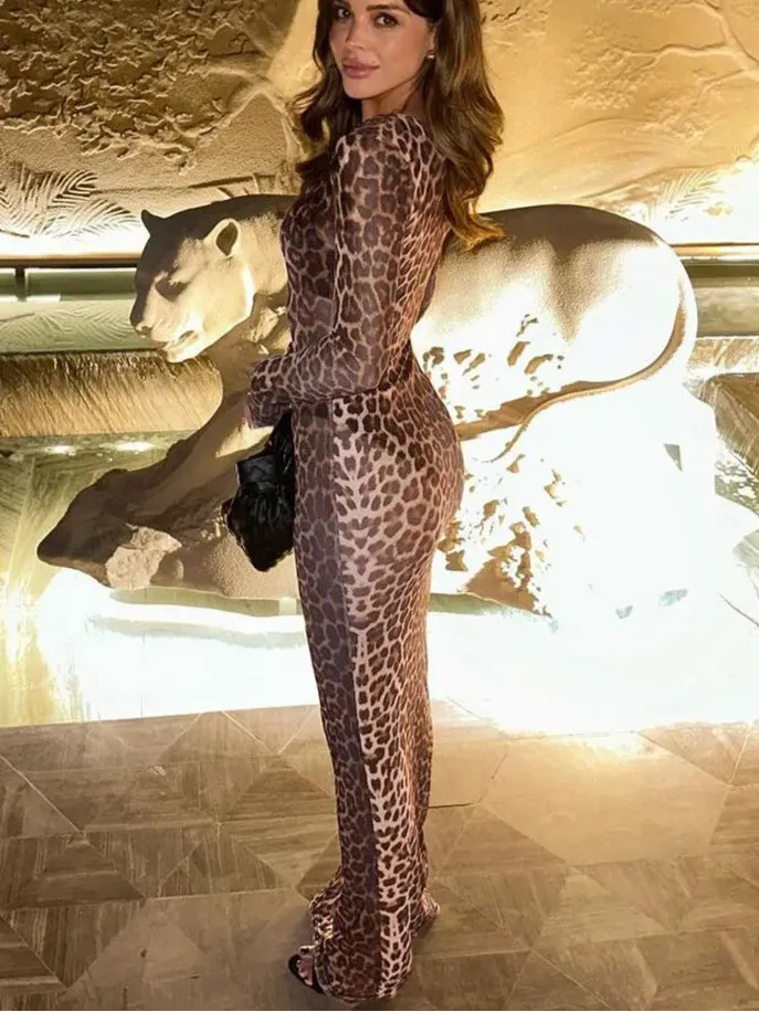 Leopard Mesh Party Club  Dress