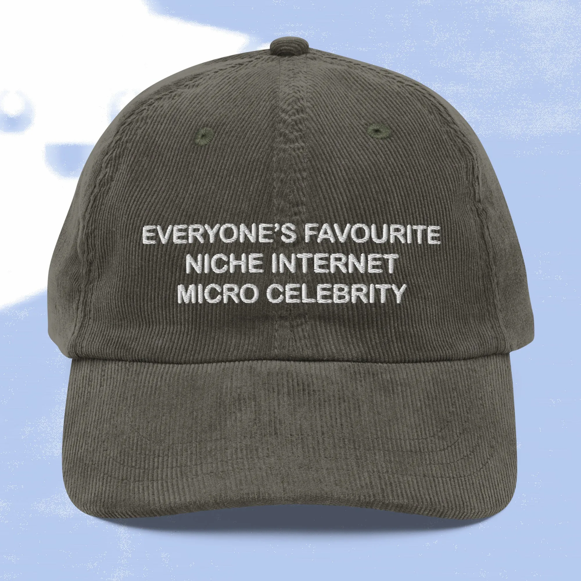 niche internet micro celebrity