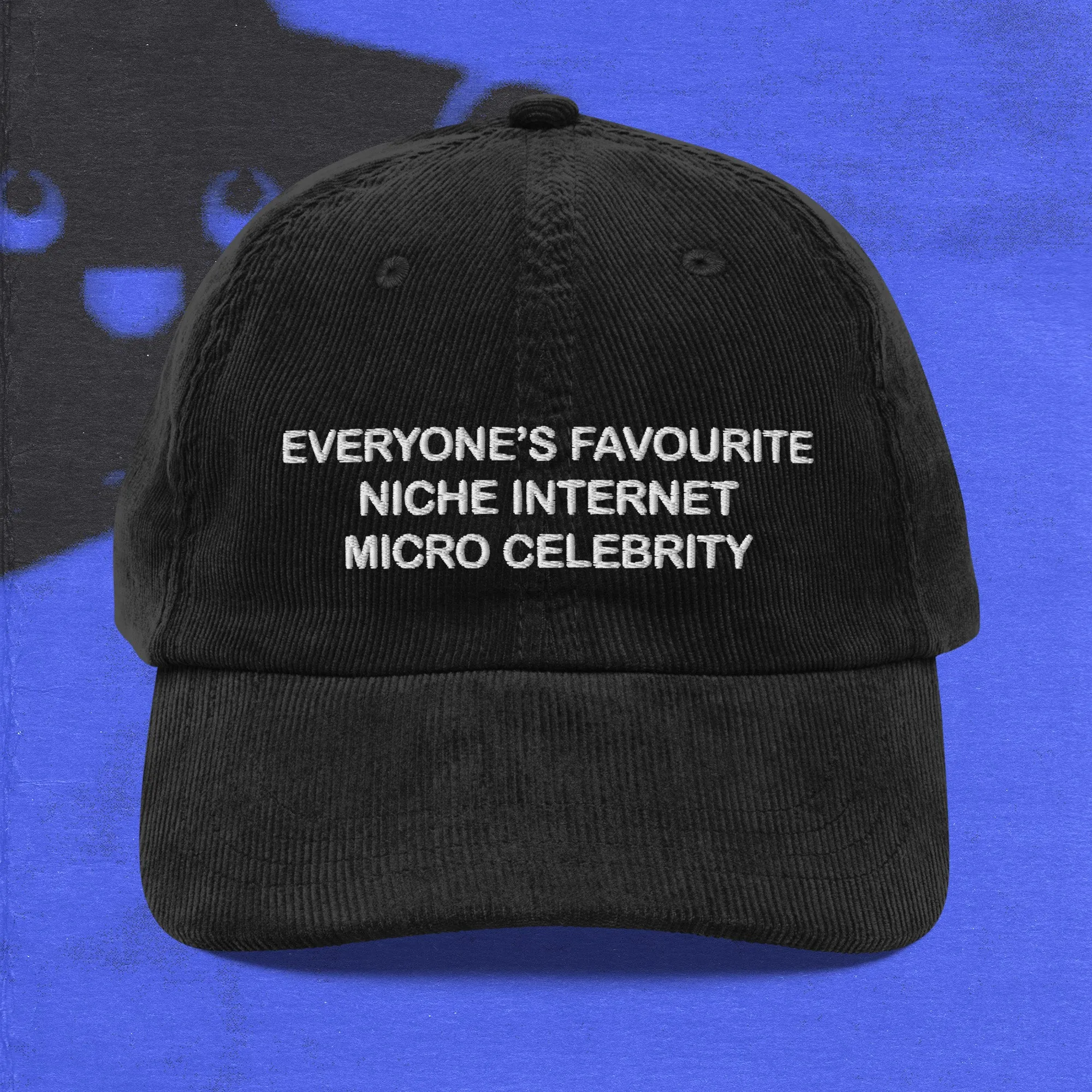 niche internet micro celebrity
