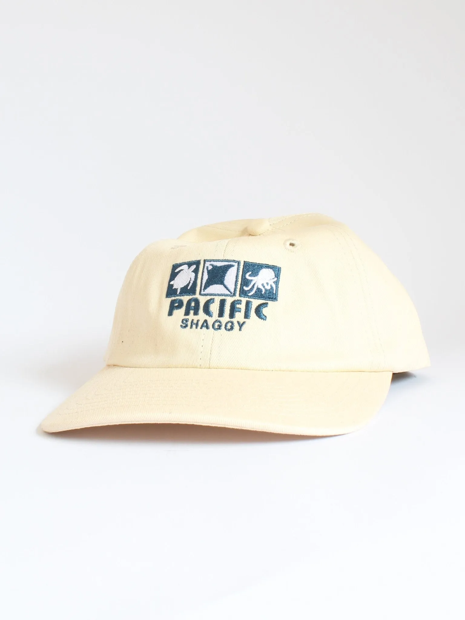 PACIFIC 6 PANEL