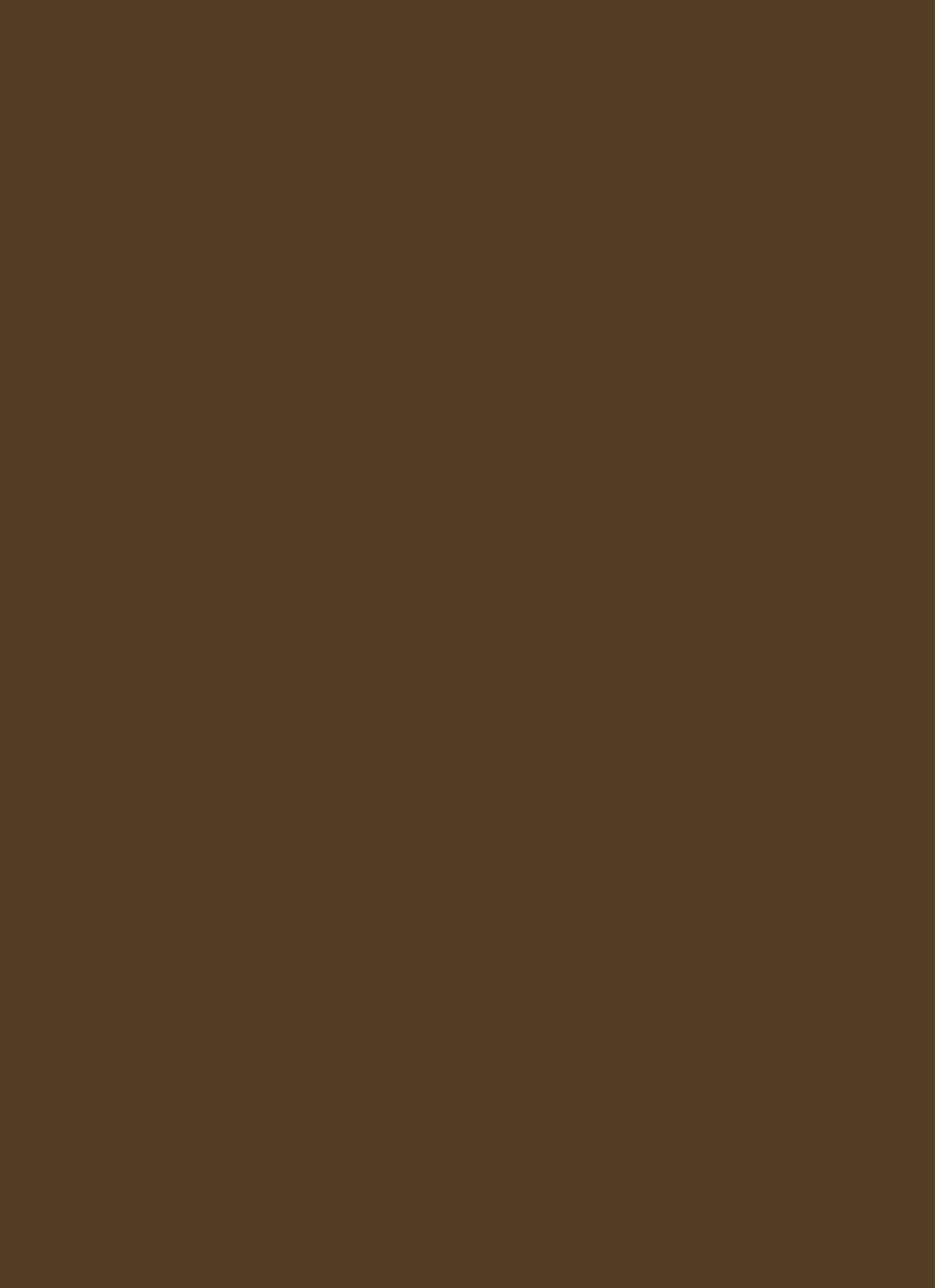 Plus Size WAX Twill Cargo Pants