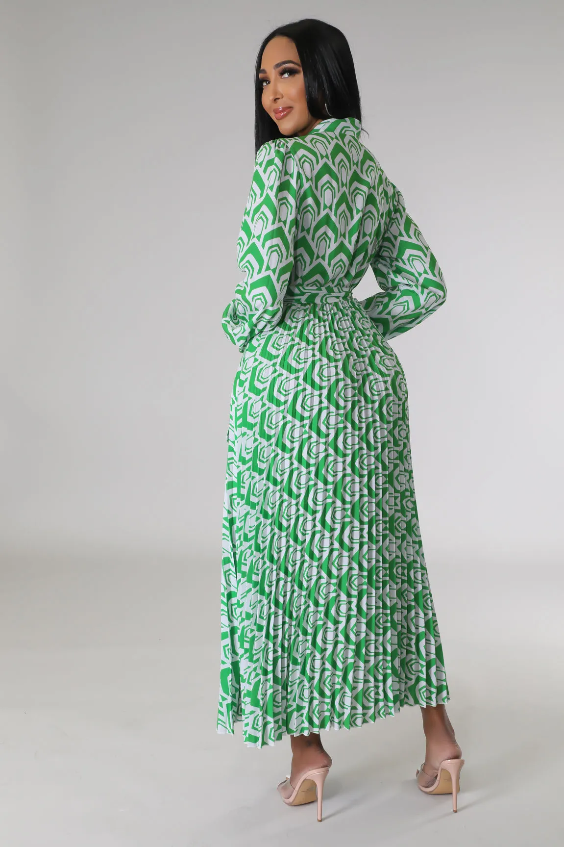 Raylee Pleated Dress Plus