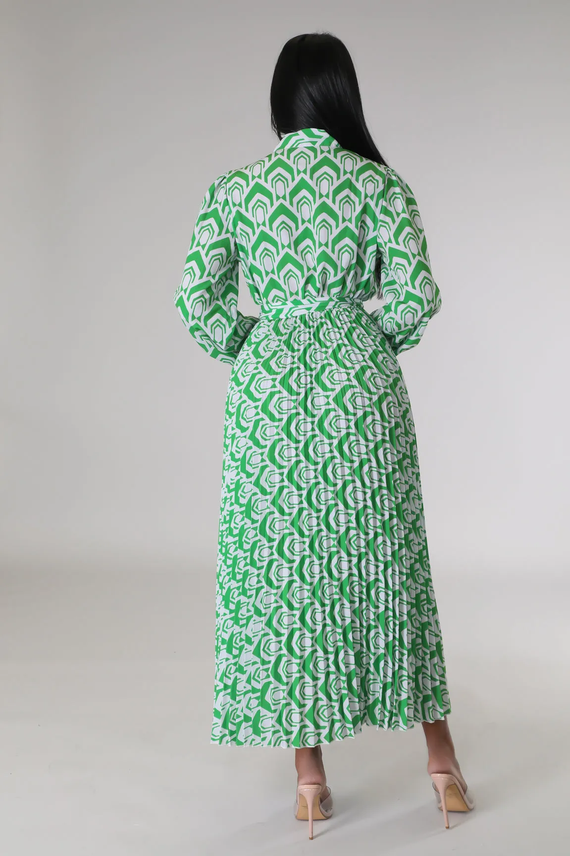 Raylee Pleated Dress Plus