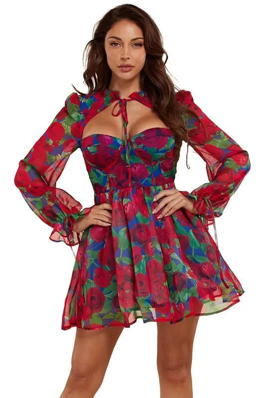 Red Floral Corset Style Romantic Charm Mini dress