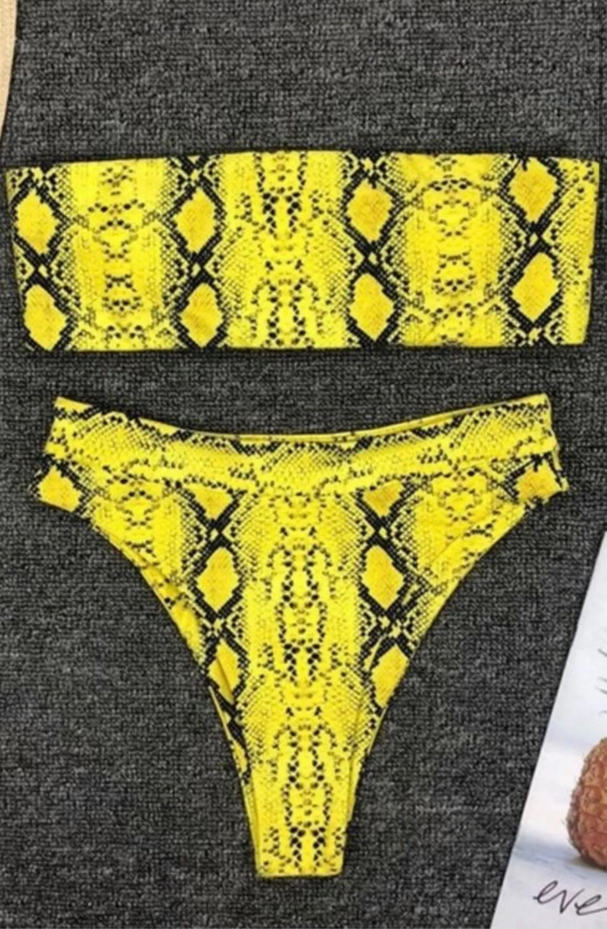 Roarin Swimsuit