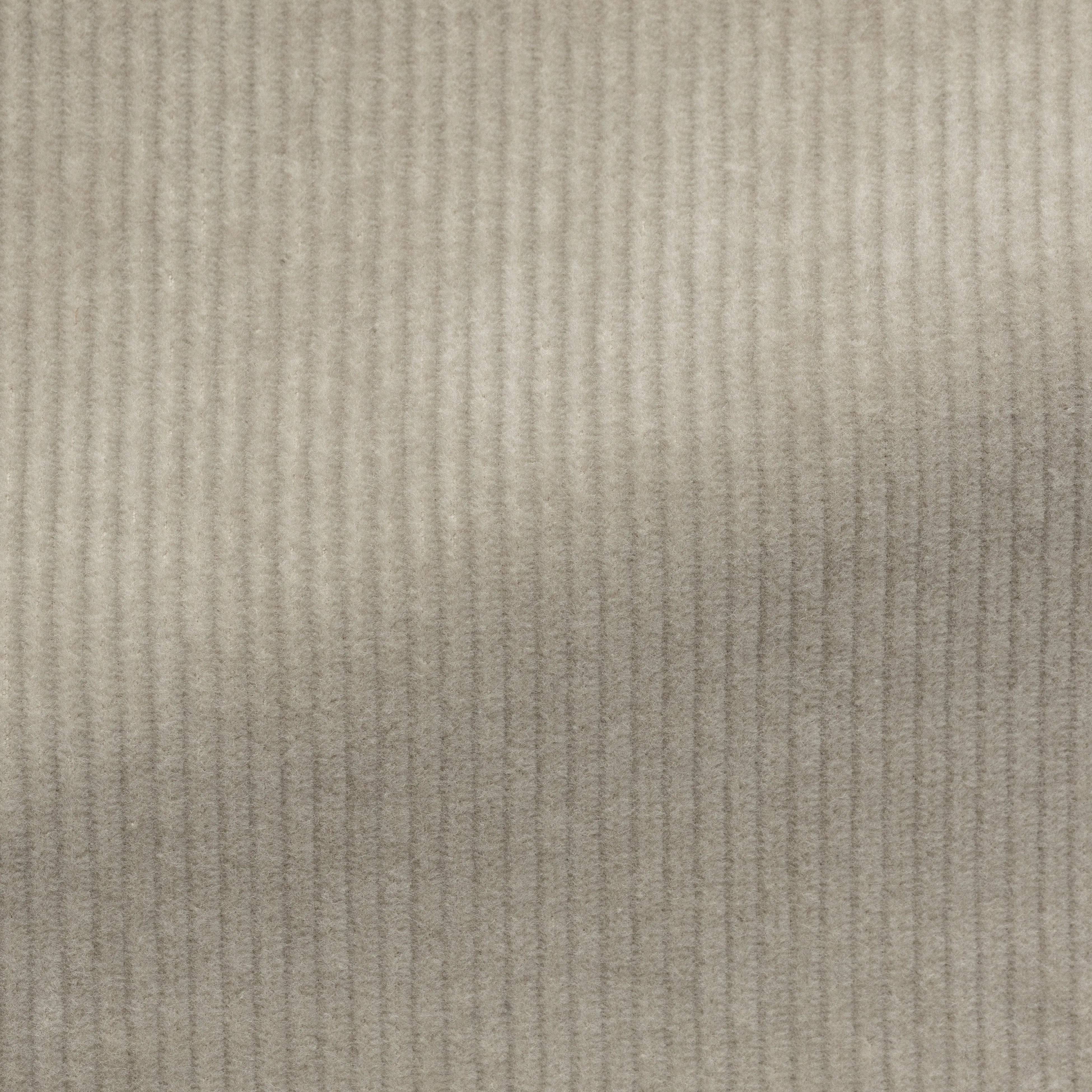 Suit - Bone Stretch Cotton Corduroy 5918