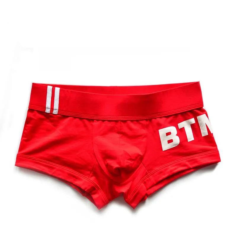 The Bottoms