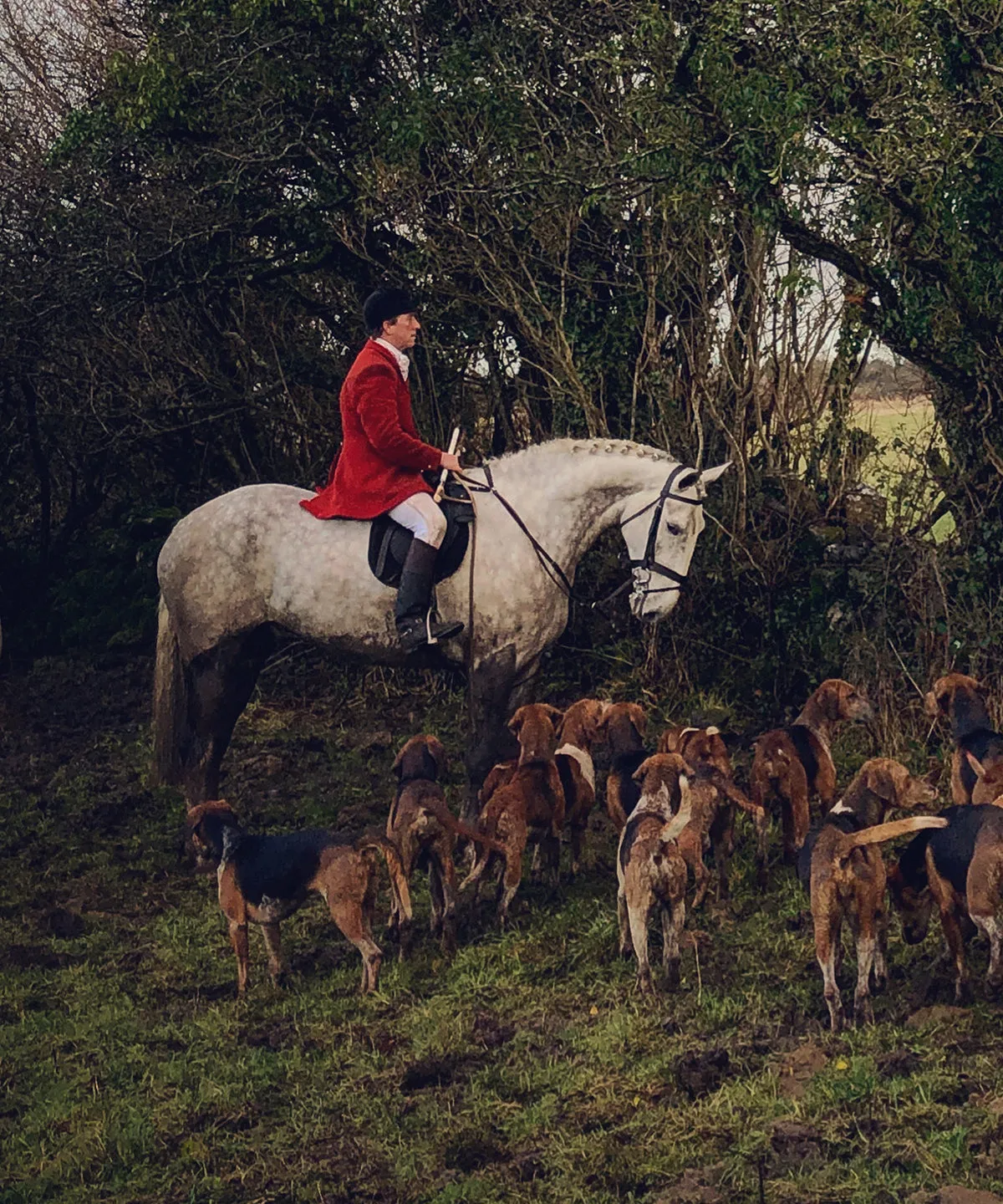 The Hunt I by Georgina Preston